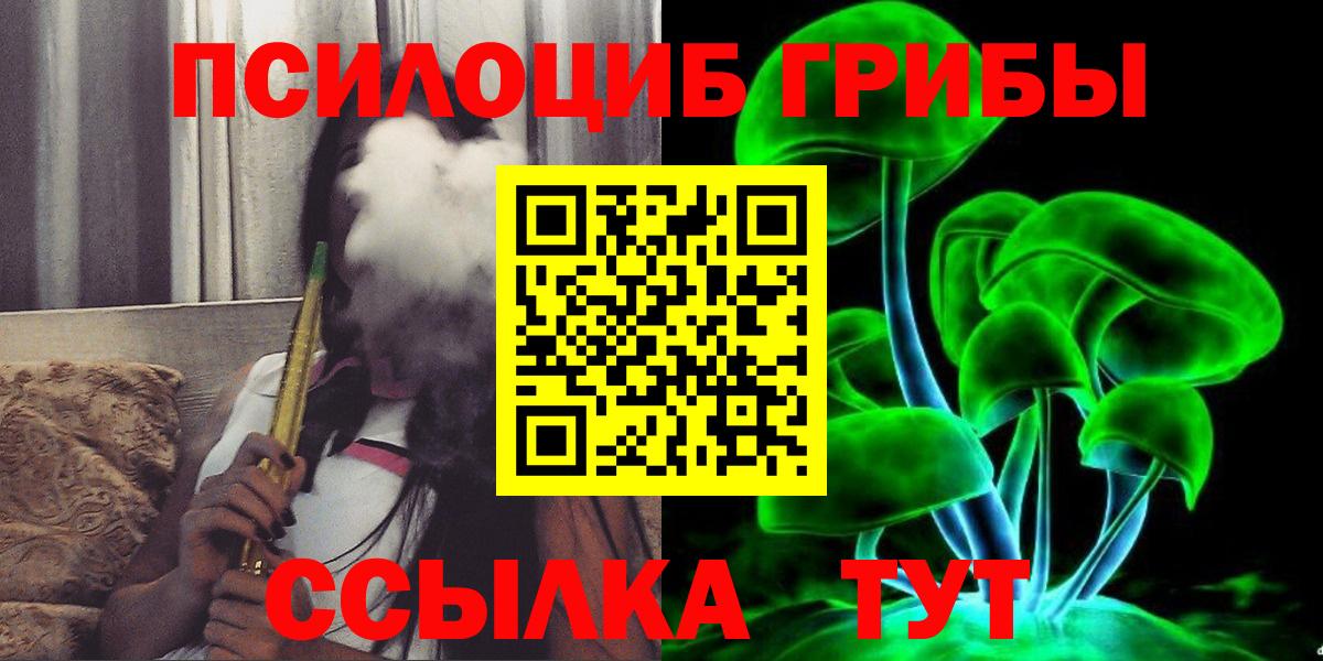Тында  Галлюциногенные грибы MAGIC MUSHROOMS  Галлюциногенные грибы Psilocybine cubensis  наркота  Вход с VPN 
