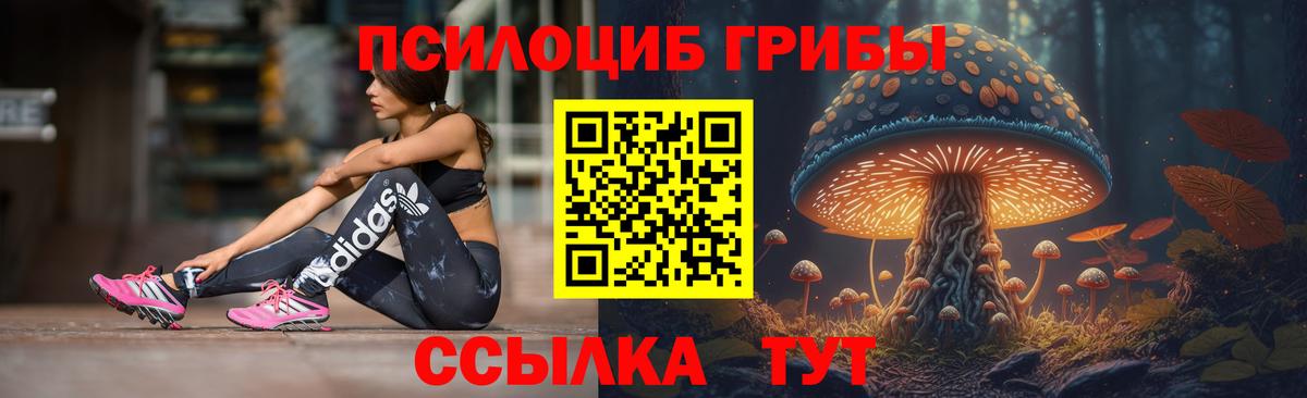 Псилоцибиновые грибы MAGIC MUSHROOMS Тында