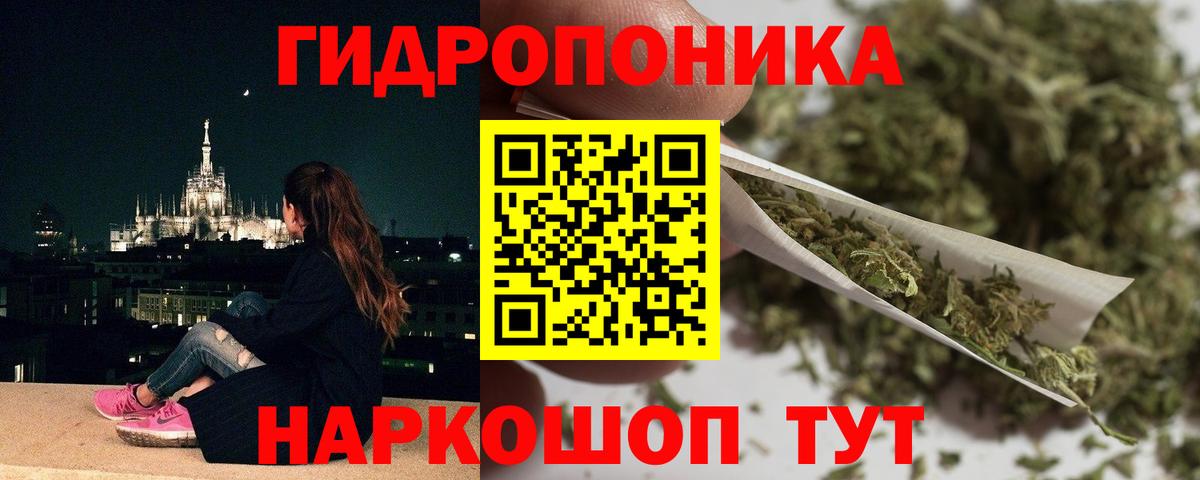 Бошки марихуана планчик  Вход с VPN  Шишки марихуана план  Тында  Бошки марихуана SATIVA & INDICA  Канабис планчик 